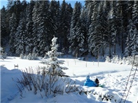 a39230ef-20141229 igra.JPG